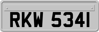 RKW5341