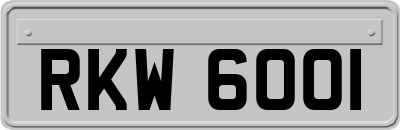 RKW6001