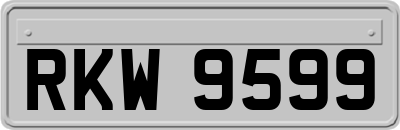 RKW9599