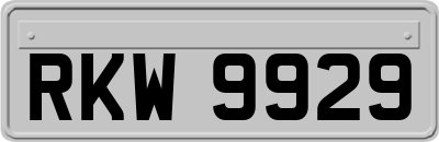 RKW9929